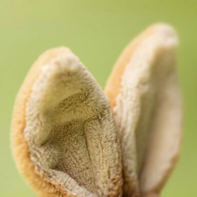 Jellycat Horticus Hare pliušinis sėdintis kiškis