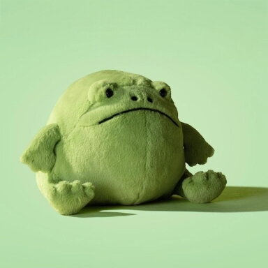 Jellycat pliušinis žaislas Ricky Rain Frog Jellycat pliušinis žaislas Ricky Rain Frog
