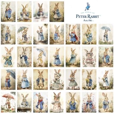 Sveikinimo atvirukas "Peter Rabbit" Sveikinimo atvirukas "Peter Rabbit"